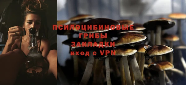 стафф Арсеньев